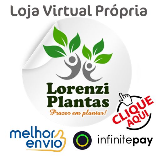 Loja Virtual